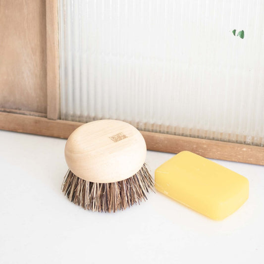 Eco Fair Trade All Purpose Scrub Brush Homeware Import Ants Pty Ltd (Ecomax)